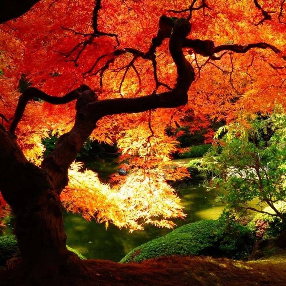 Meet your Posher, Whitney